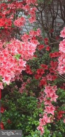 11321 Classical Lane Silver Spring, MD 20901 - Photo 35 of 35 a view of a city