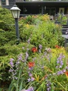 3162 Chestnut Grove Church Road Sparta, NC 28675 - Photo 34 of 48