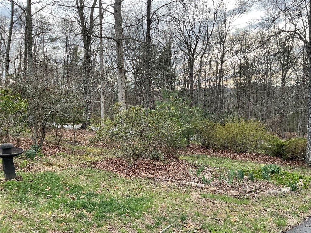 3162 Chestnut Grove Church Road Sparta, NC 28675 - Photo 37 of 48