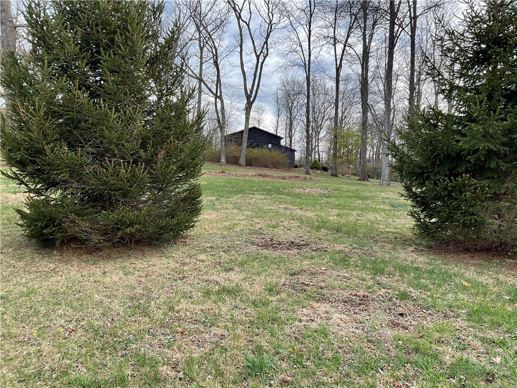 3162 Chestnut Grove Church Road Sparta, NC 28675 - Photo 38 of 48