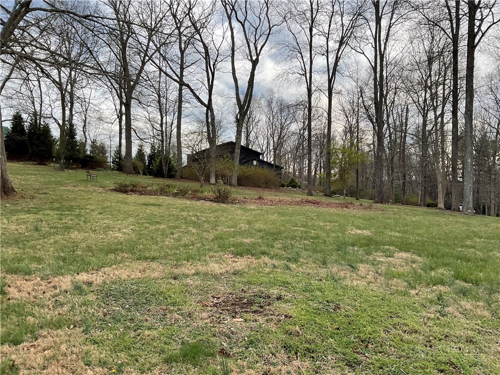 3162 Chestnut Grove Church Road Sparta, NC 28675 - Photo 40 of 48