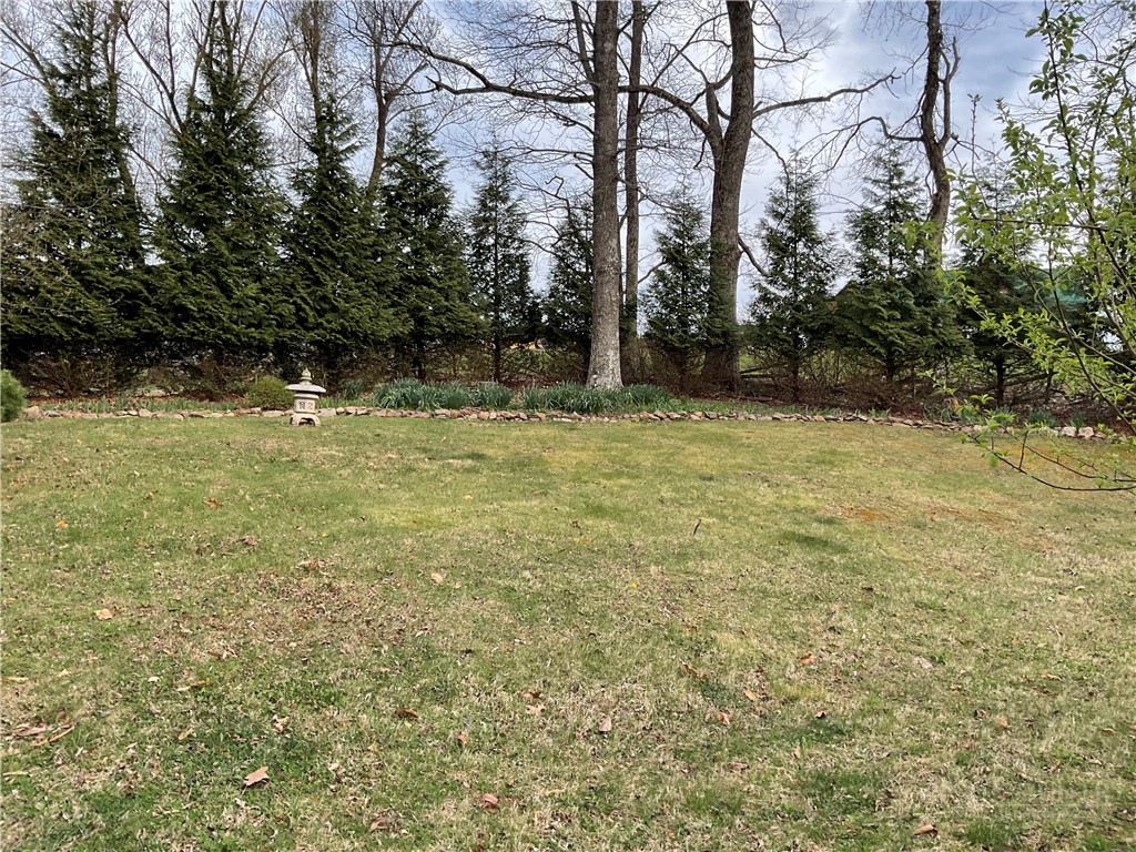 3162 Chestnut Grove Church Road Sparta, NC 28675 - Photo 44 of 48