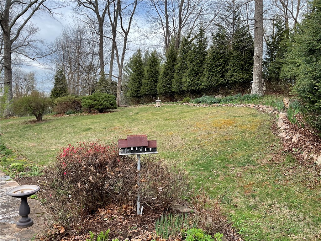 3162 Chestnut Grove Church Road Sparta, NC 28675 - Photo 45 of 48