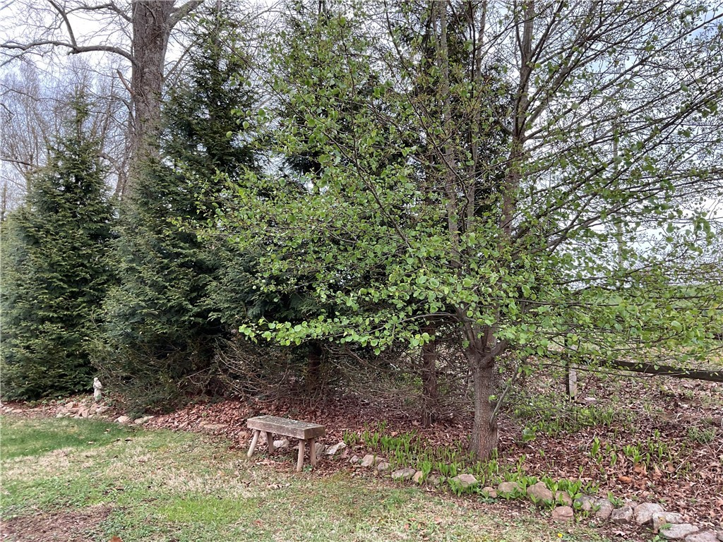 3162 Chestnut Grove Church Road Sparta, NC 28675 - Photo 46 of 48