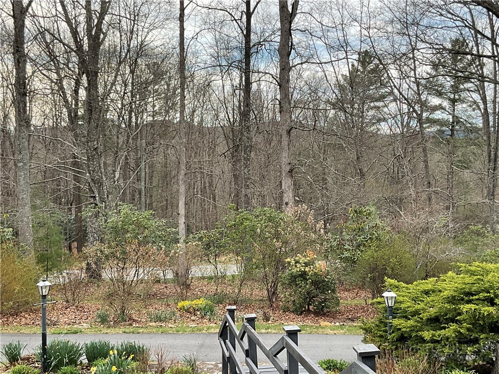 3162 Chestnut Grove Church Road Sparta, NC 28675 - Photo 47 of 48