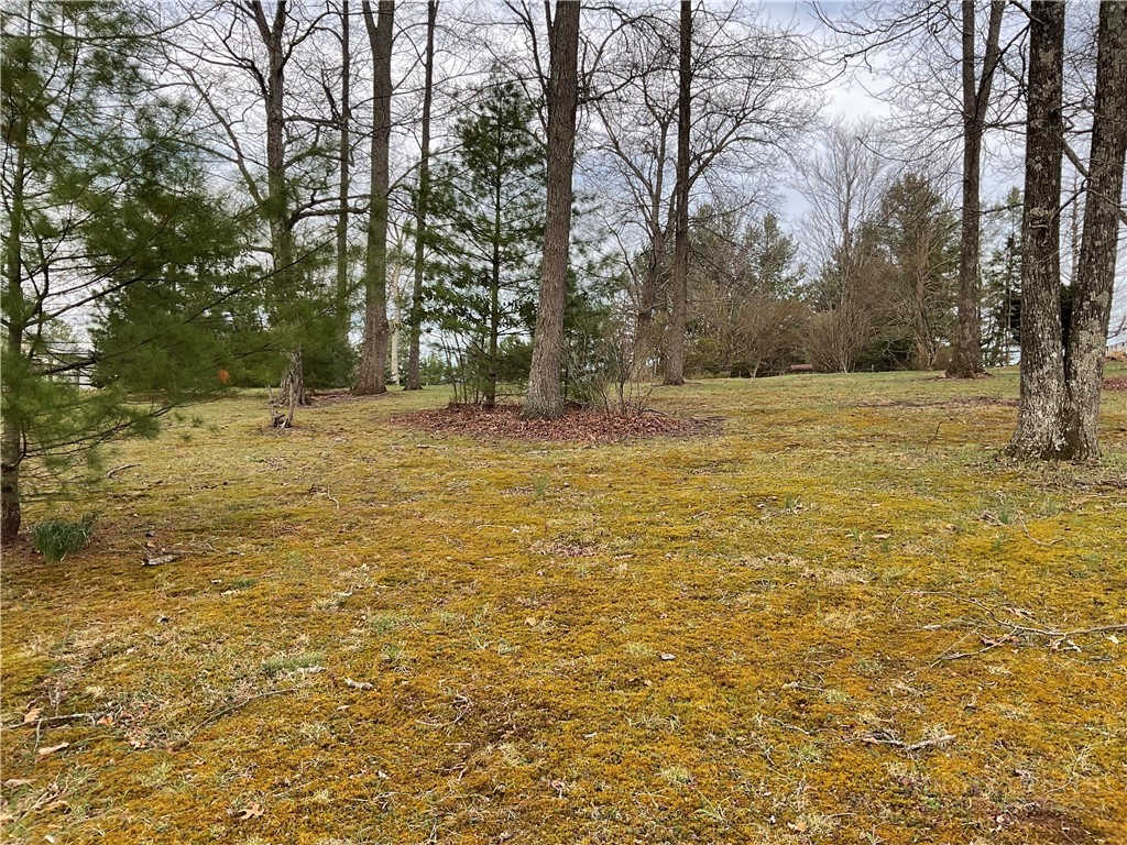 3162 Chestnut Grove Church Road Sparta, NC 28675 - Photo 48 of 48