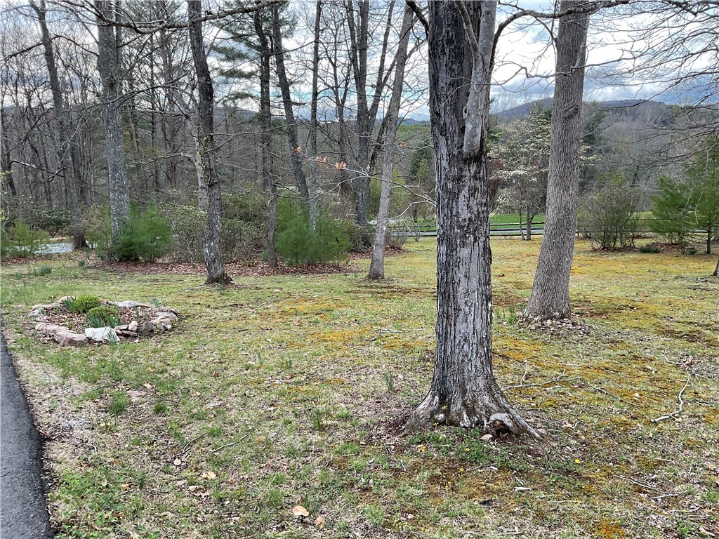 3162 Chestnut Grove Church Road Sparta, NC 28675 - Photo 7 of 48