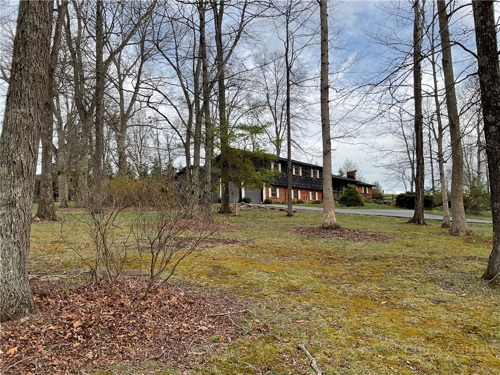 3162 Chestnut Grove Church Road Sparta, NC 28675 - Photo 9 of 48