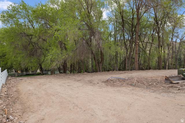 1544 East 1200 S Street Springville, UT 84663 - Photo 12 of 21 View of yard