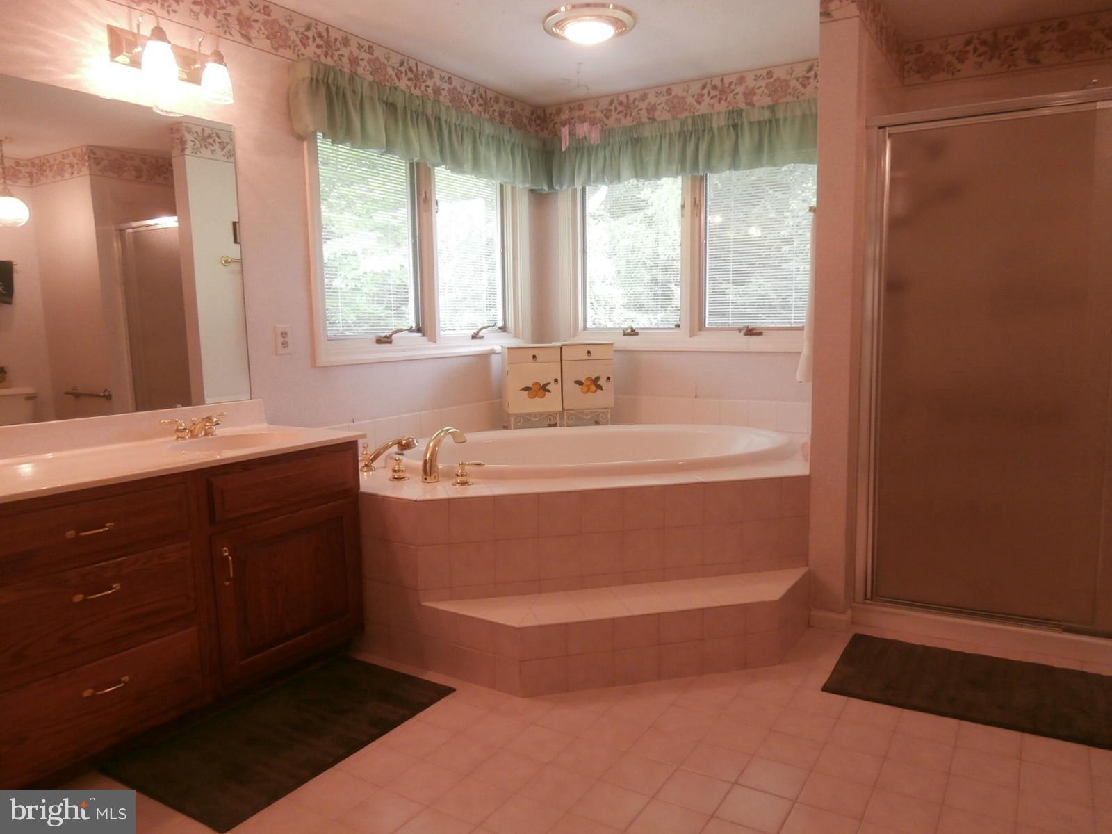 12507 Gramlich Road Southwest La Vale, MD 21502 - Photo 19 of 30 Bath (Master)