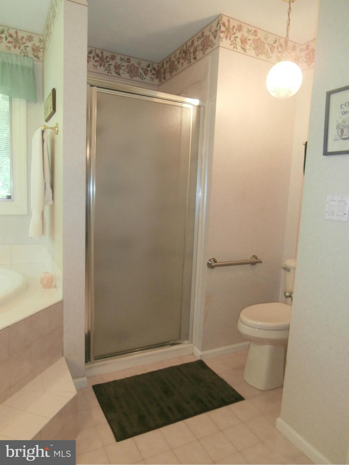 12507 Gramlich Road Southwest La Vale, MD 21502 - Photo 20 of 30 Bath (Master) - Second View