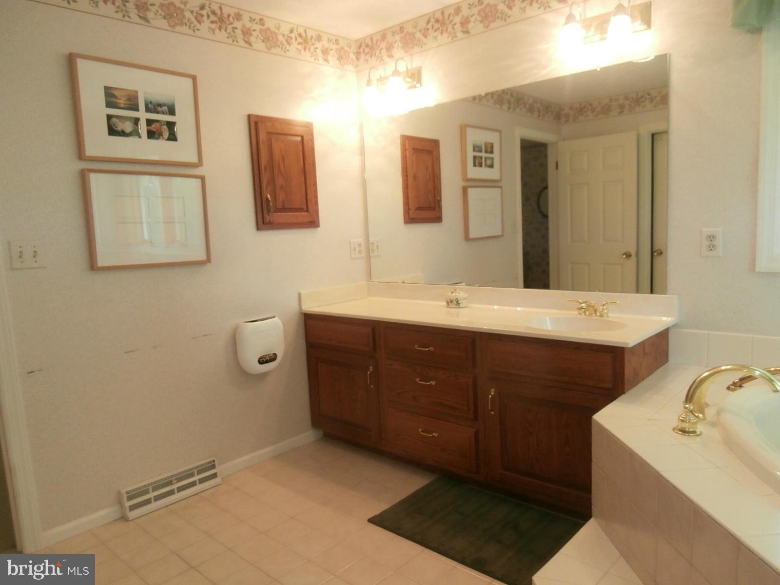 12507 Gramlich Road Southwest La Vale, MD 21502 - Photo 21 of 30 Bath (Master) - Third View