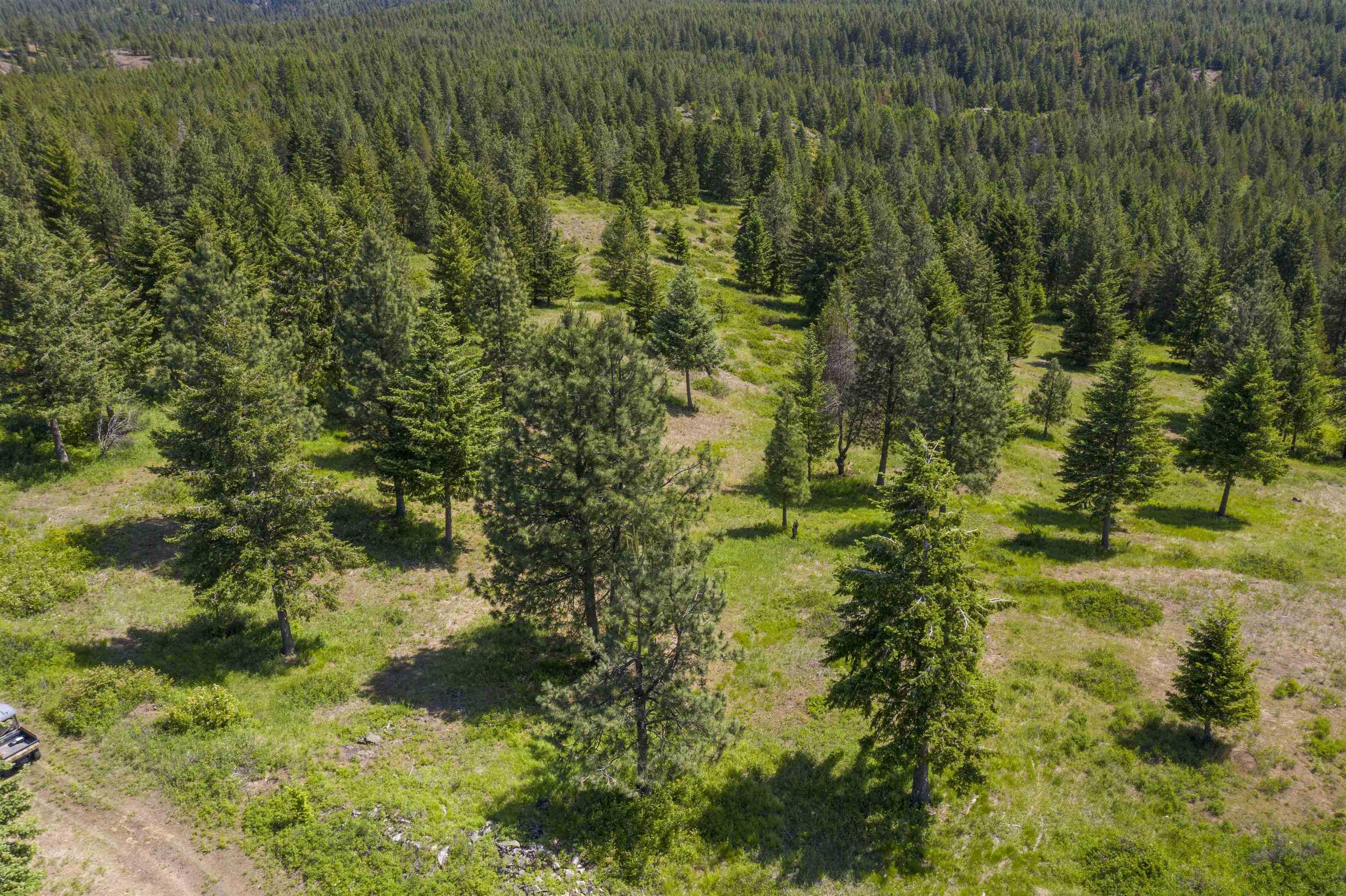 Nna Nna Undisclosed Address Elk, WA 99009 - Photo 6 of 11