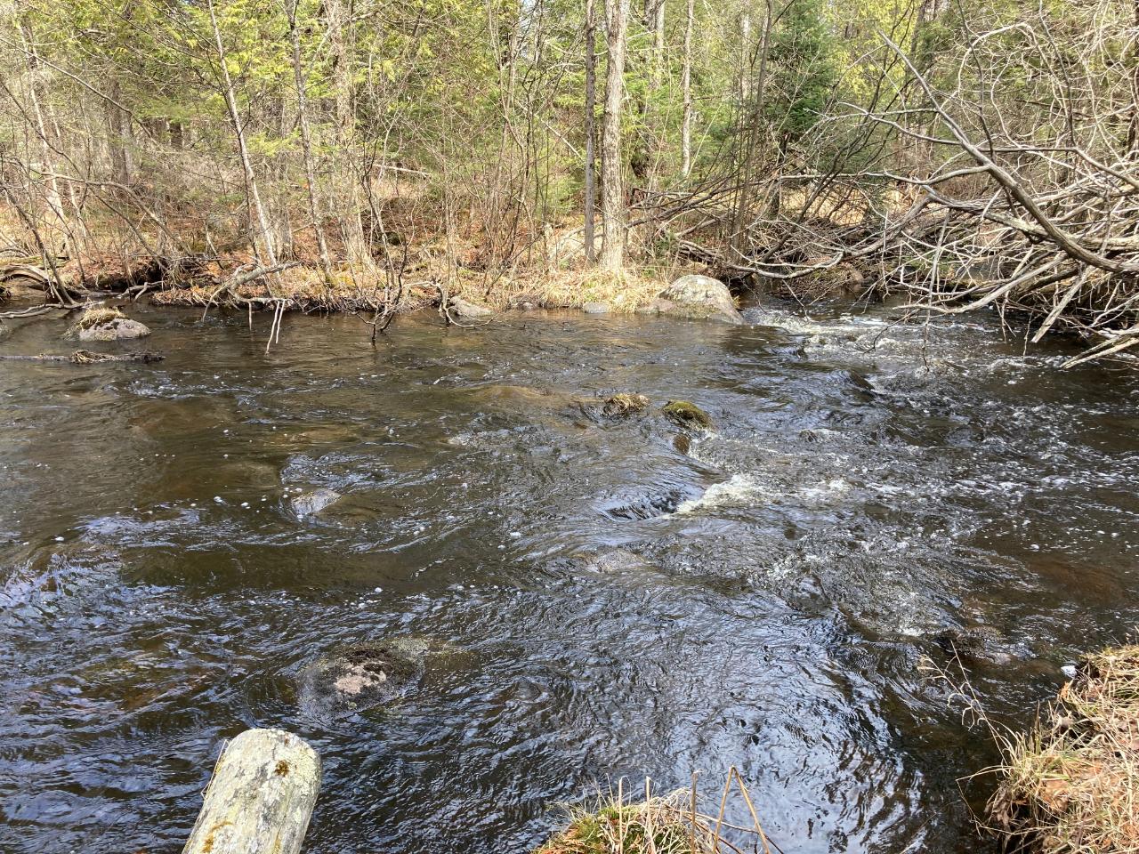 101 Old 101 Road, Unit 40 ACRES Armstrong Creek, WI 54103 - Photo 9 of 18 Gallery Image 9