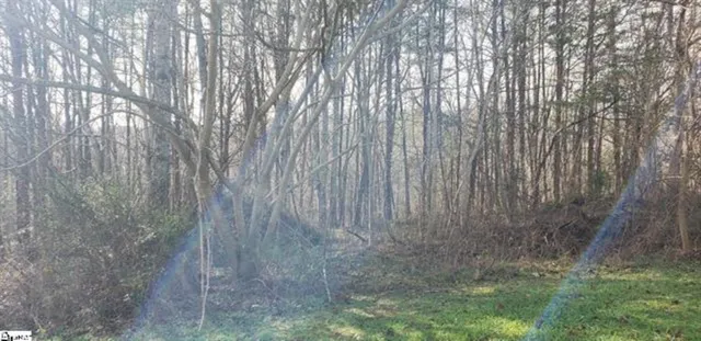 $100,000 | 0 Lockhart Circle, Landrum, SC 29356