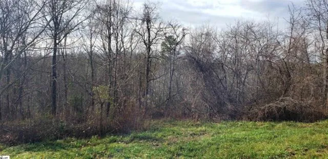 $100,000 | 0 Lockhart Circle, Landrum, SC 29356