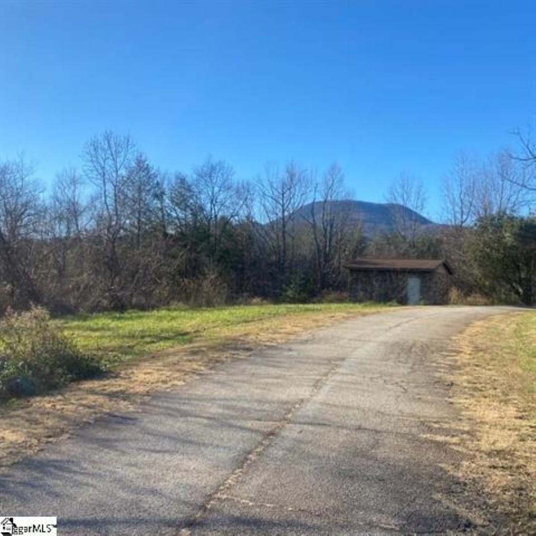 0 Lockhart Circle Landrum, SC 29356 - Photo 4 of 6