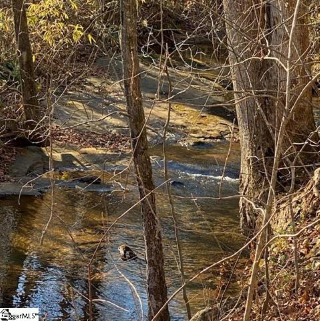 0 Lockhart Circle Landrum, SC 29356 - Photo 5 of 6