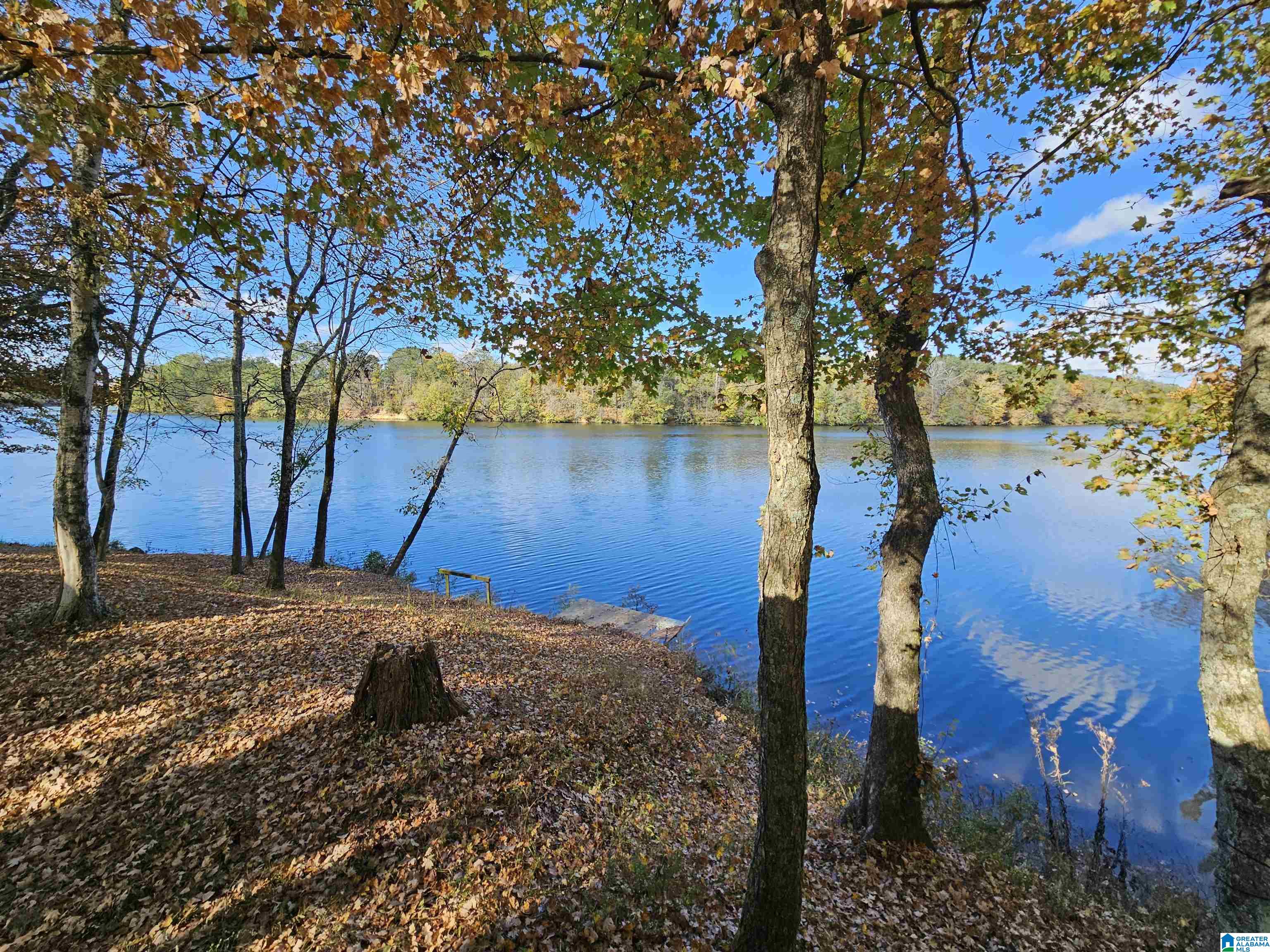 14536 Plant Road, Unit 28 Alpine, AL 35014 - Photo 2 of 7