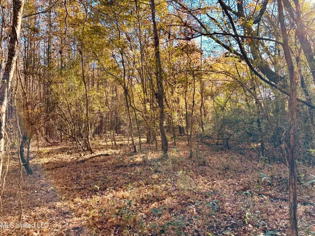 $125,000 | Mayer Road, Yazoo City, MS 39194