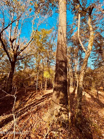 $125,000 | Mayer Road, Yazoo City, MS 39194