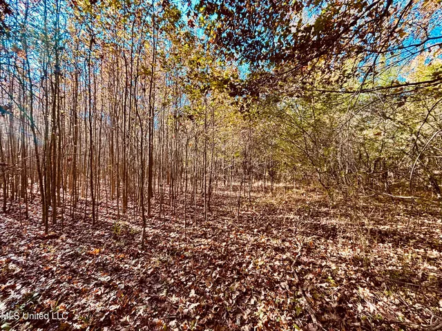 $125,000 | Mayer Road, Yazoo City, MS 39194