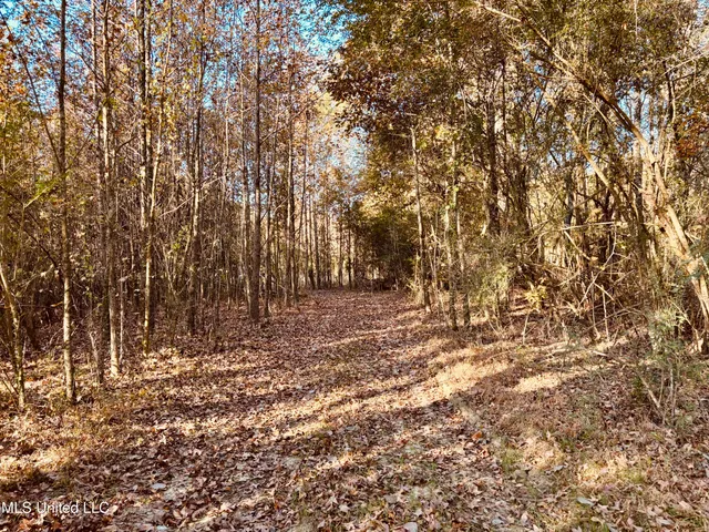 $125,000 | Mayer Road, Yazoo City, MS 39194