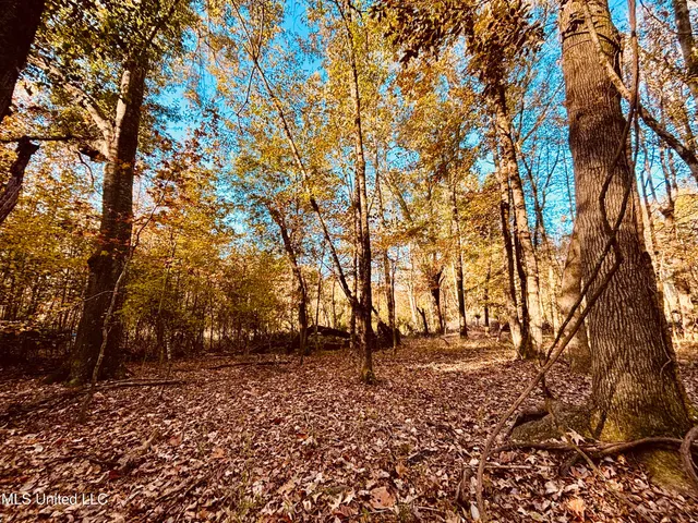 $125,000 | Mayer Road, Yazoo City, MS 39194