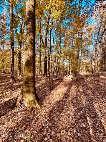 $125,000 | Mayer Road, Yazoo City, MS 39194
