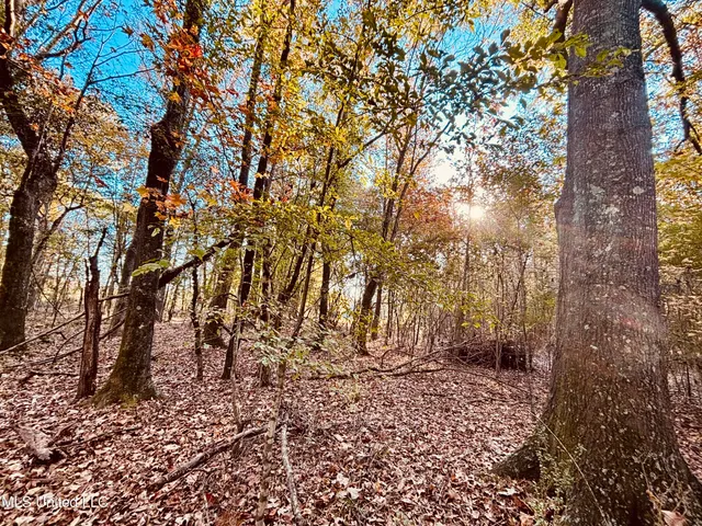 $125,000 | Mayer Road, Yazoo City, MS 39194