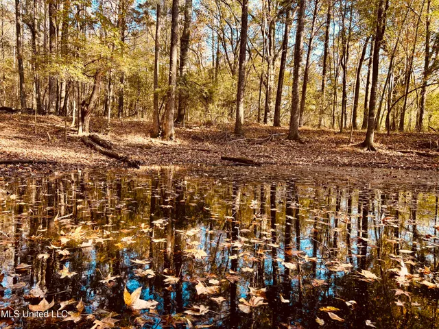 $125,000 | Mayer Road, Yazoo City, MS 39194