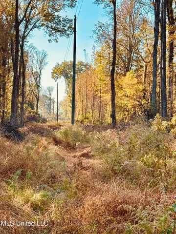 $125,000 | Mayer Road, Yazoo City, MS 39194