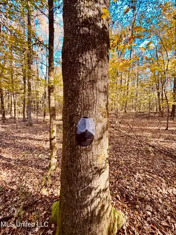 $125,000 | Mayer Road, Yazoo City, MS 39194