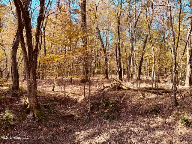 $125,000 | Mayer Road, Yazoo City, MS 39194