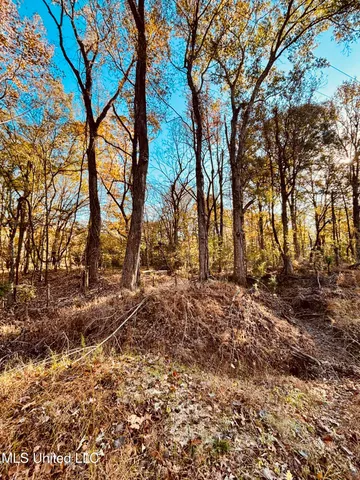 $125,000 | Mayer Road, Yazoo City, MS 39194