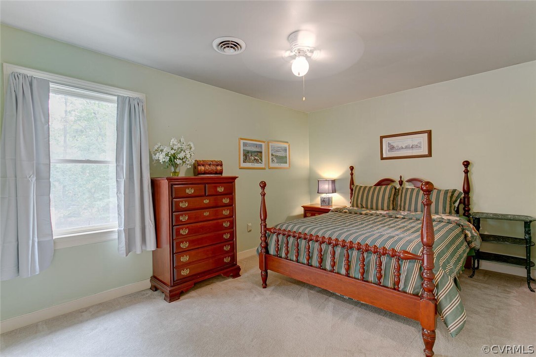 13807 Beechwood Point Road Midlothian, VA 23112 - Photo 19 of 31