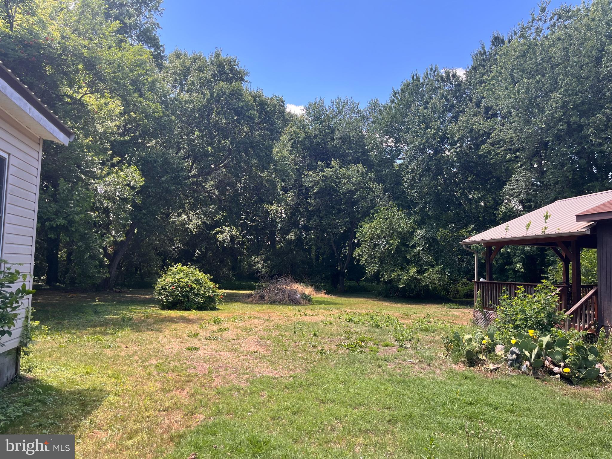 1823 Upper King Road Woodside, DE 19904 - Photo 10 of 18 Sheds to back yard