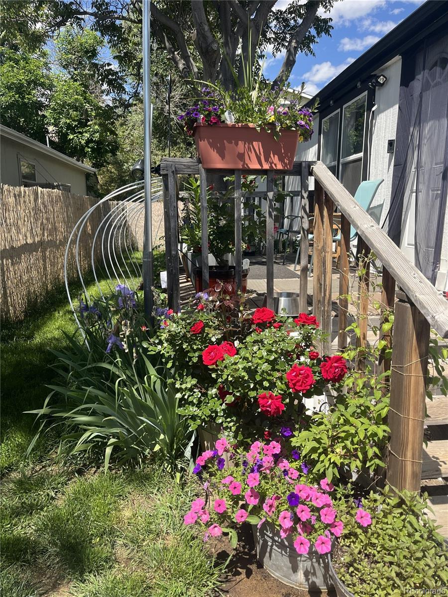 210 Pinto Street Golden, CO 80401 - Photo 30 of 35 a flower garden view