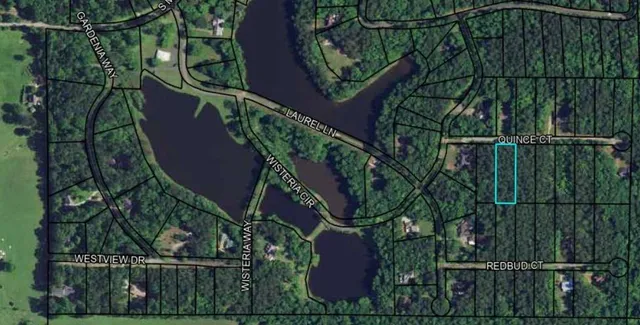 a view of a field with plants and trees