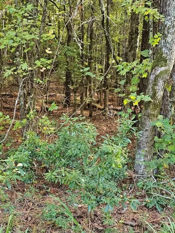 a view of outdoor space and garden