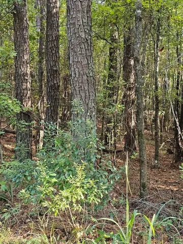 a view of a lake with a forest