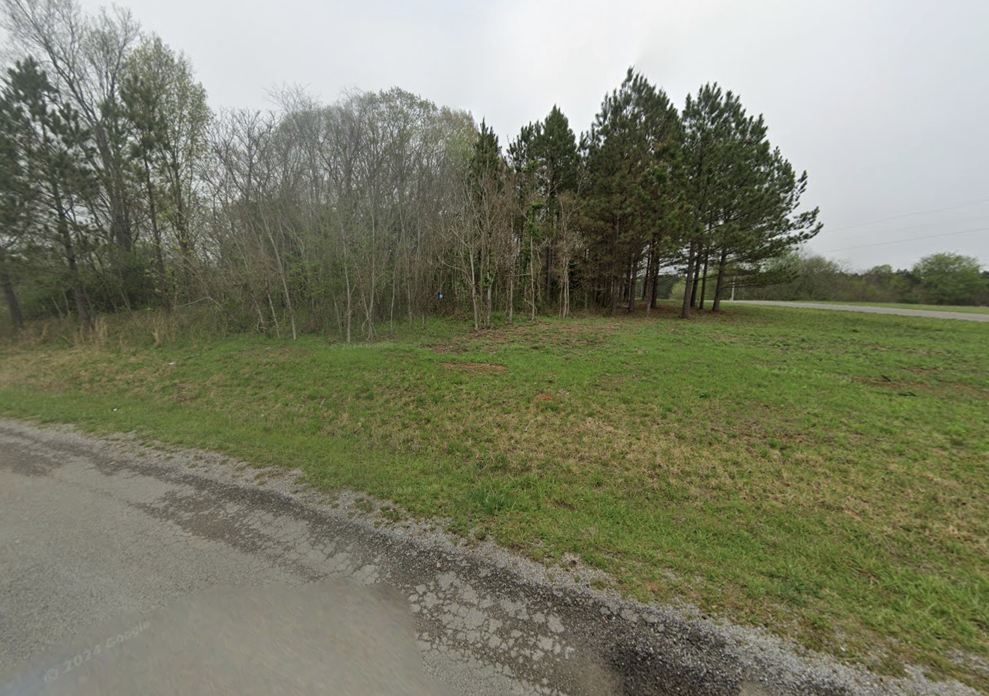 199 Scenic Hills Road Pulaski, TN 38478 - Photo 2 of 5 a view of a field with trees