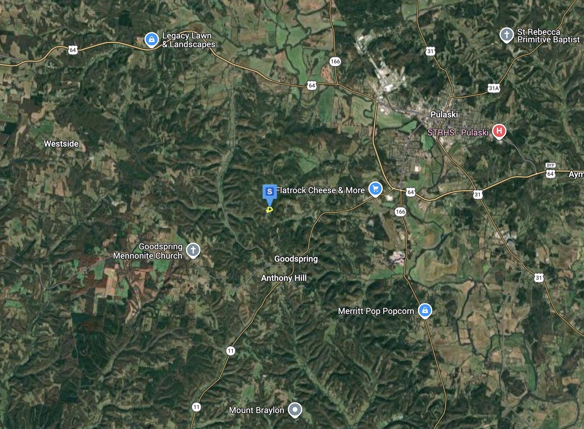 199 Scenic Hills Road Pulaski, TN 38478 - Photo 4 of 5 a view of flowers in the middle