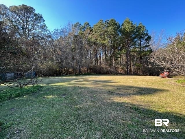 263 Davenport Street Greenville, AL 36037 - Photo 3 of 25