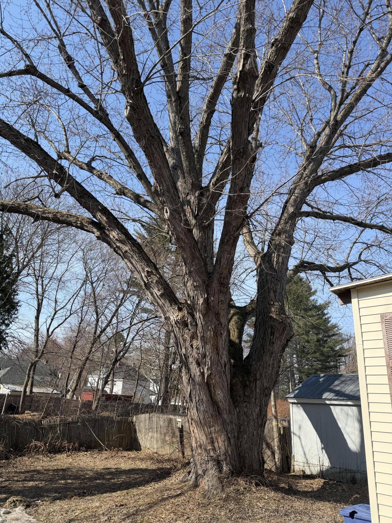 12 Edgemont Avenue Waterville, ME 04901 - Photo 4 of 37 IMG_3672