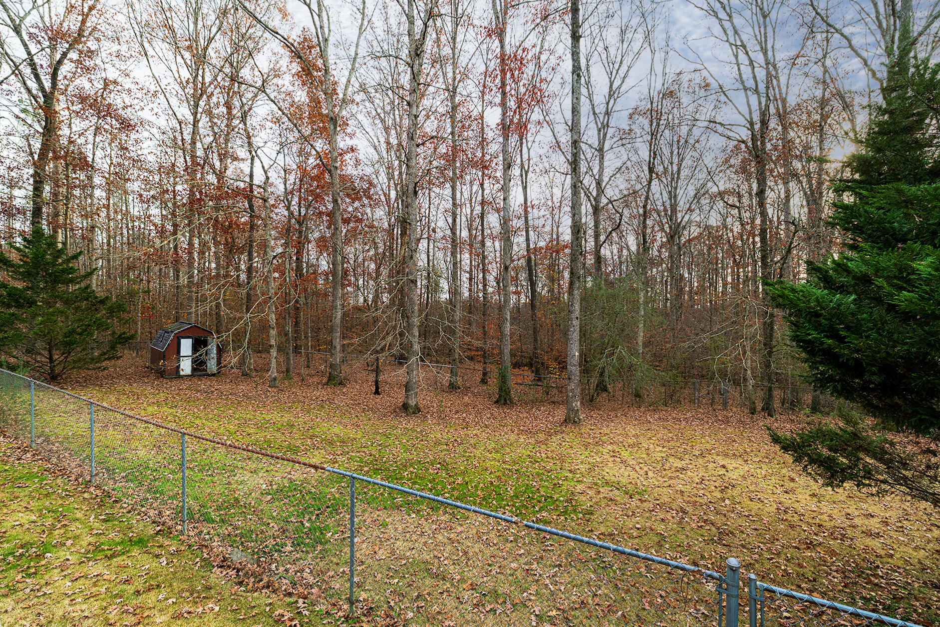 138 Flora Lane Cleveland, TN 37323 - Photo 39 of 39 EXT3
