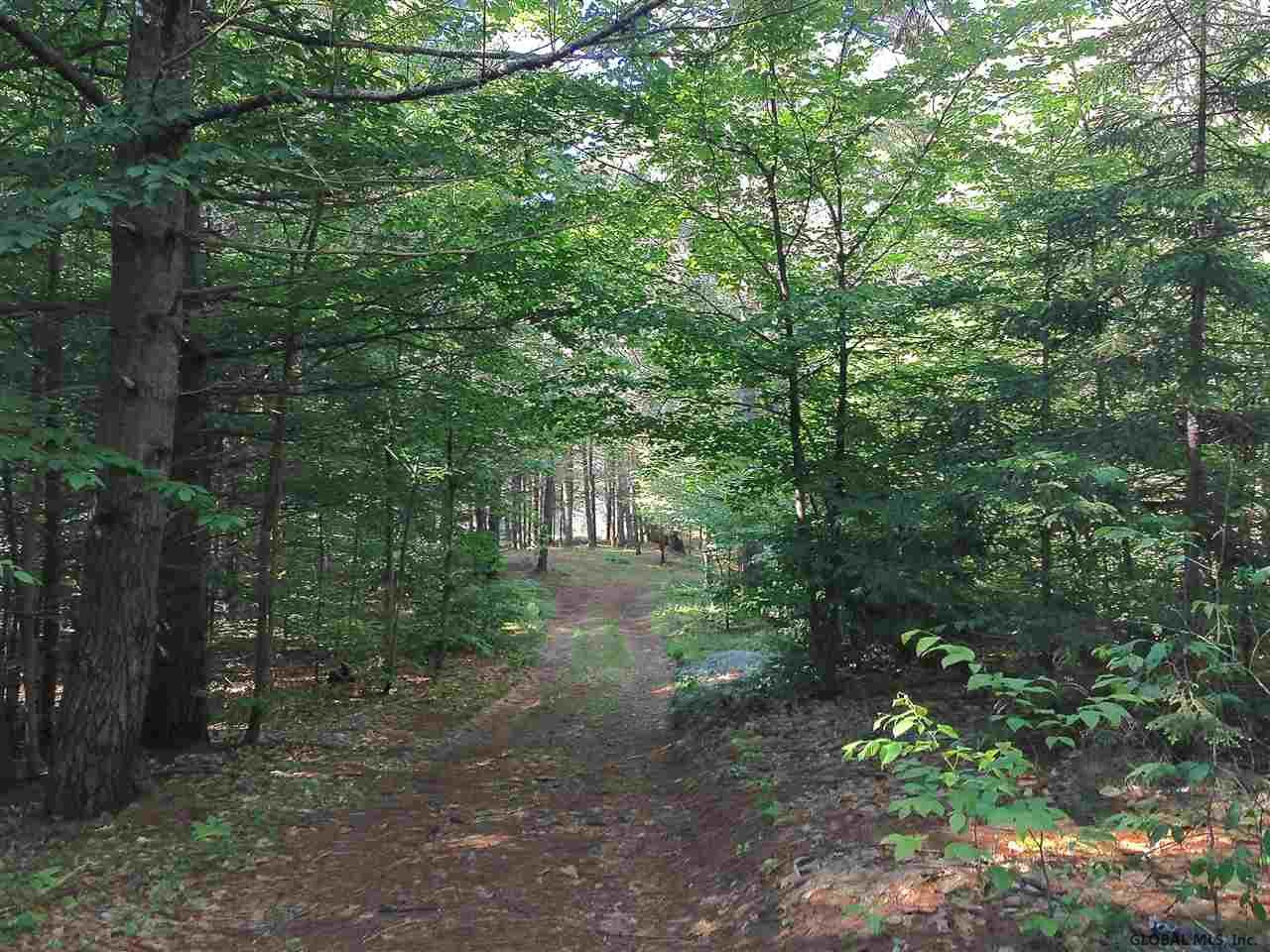 0 Rice Road Northville, NY 12134 - Photo 3 of 6 Photo 4