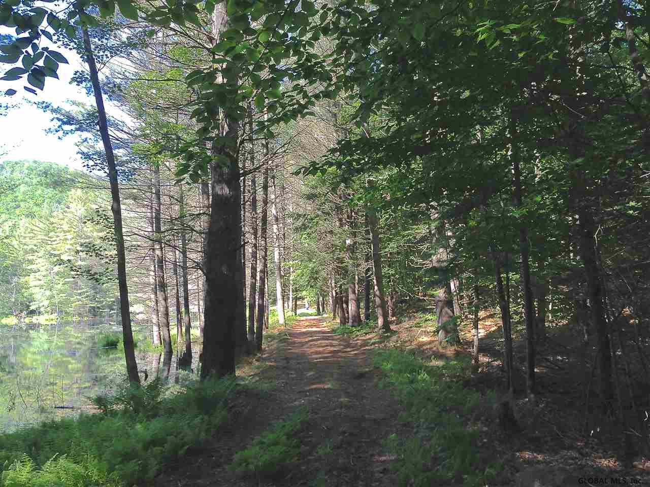 0 Rice Road Northville, NY 12134 - Photo 5 of 6 Photo 6