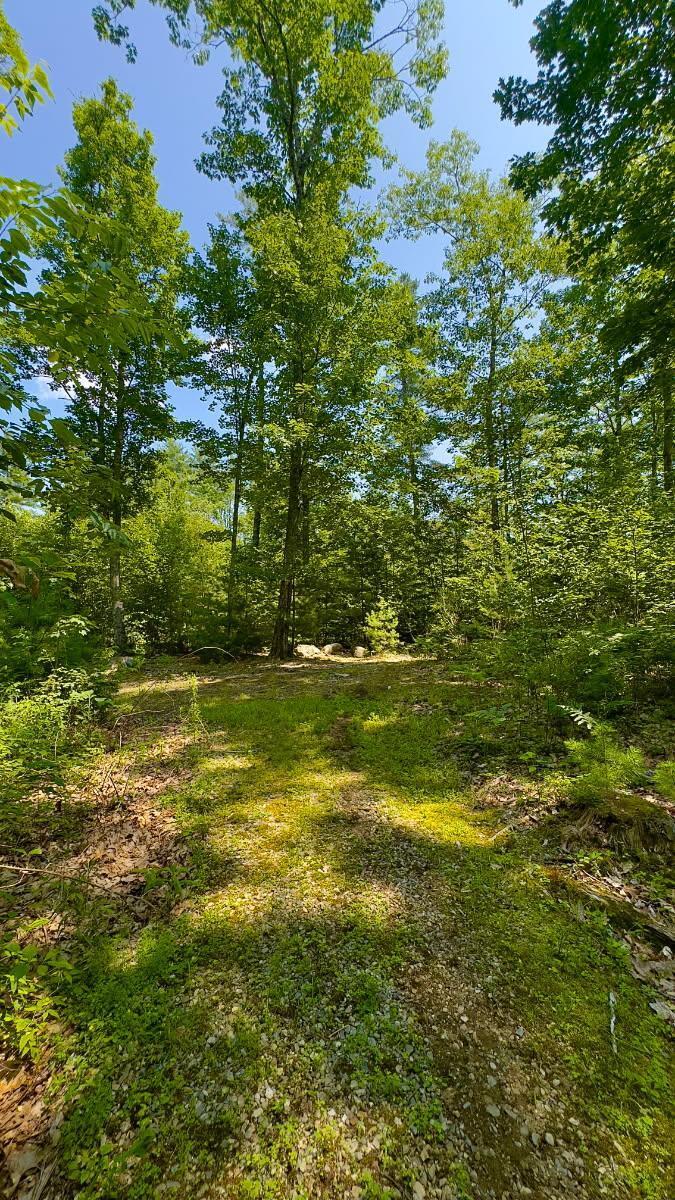 0 Head Tide Hill Road Alna, ME 04535 - Photo 6 of 12 image3