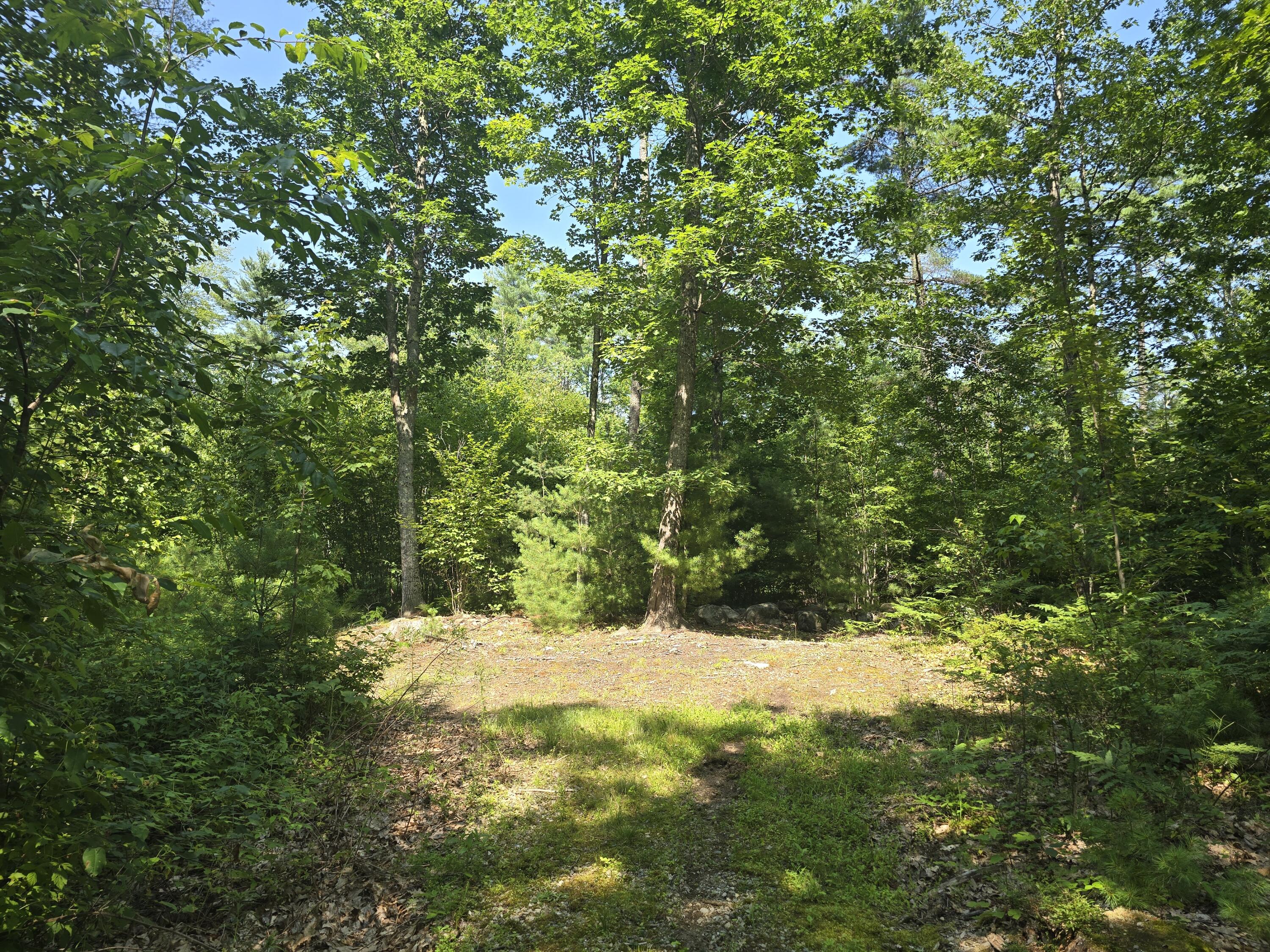 0 Head Tide Hill Road Alna, ME 04535 - Photo 7 of 12 20250716_143754